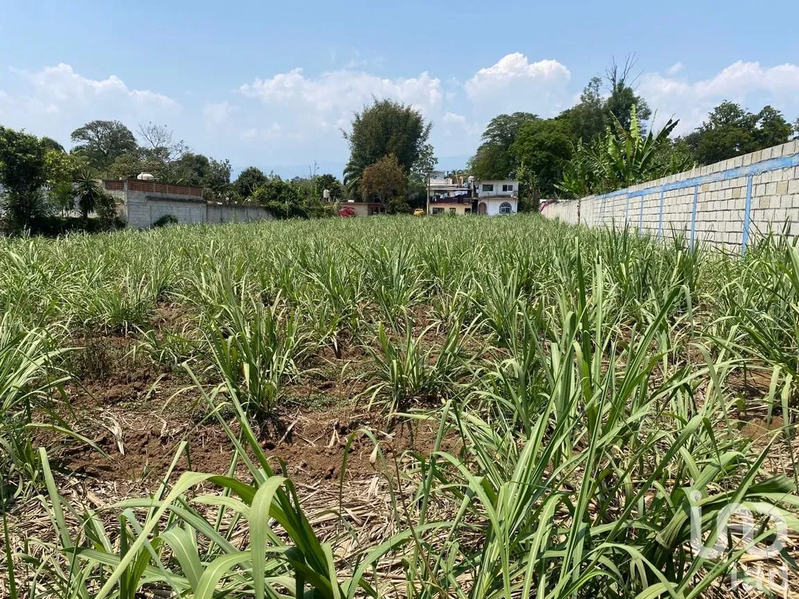 Terreno en Venta en Campo Viejo, Coatepec, Veracruz de Ignacio de la Llave | NEX-253269 | iad México | Foto 6 de 10