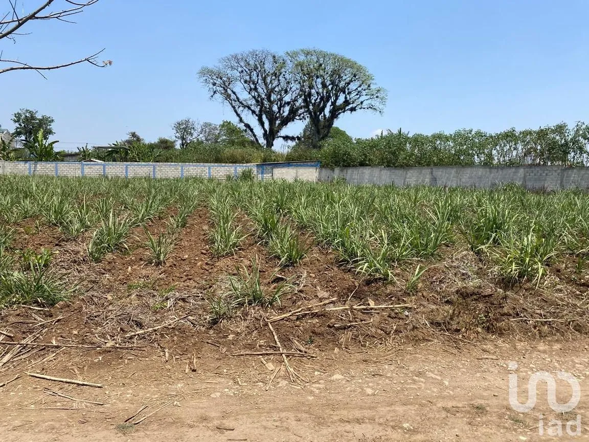 Terreno en Venta en Campo Viejo, Coatepec, Veracruz de Ignacio de la Llave | NEX-253269 | iad México | Foto 8 de 10
