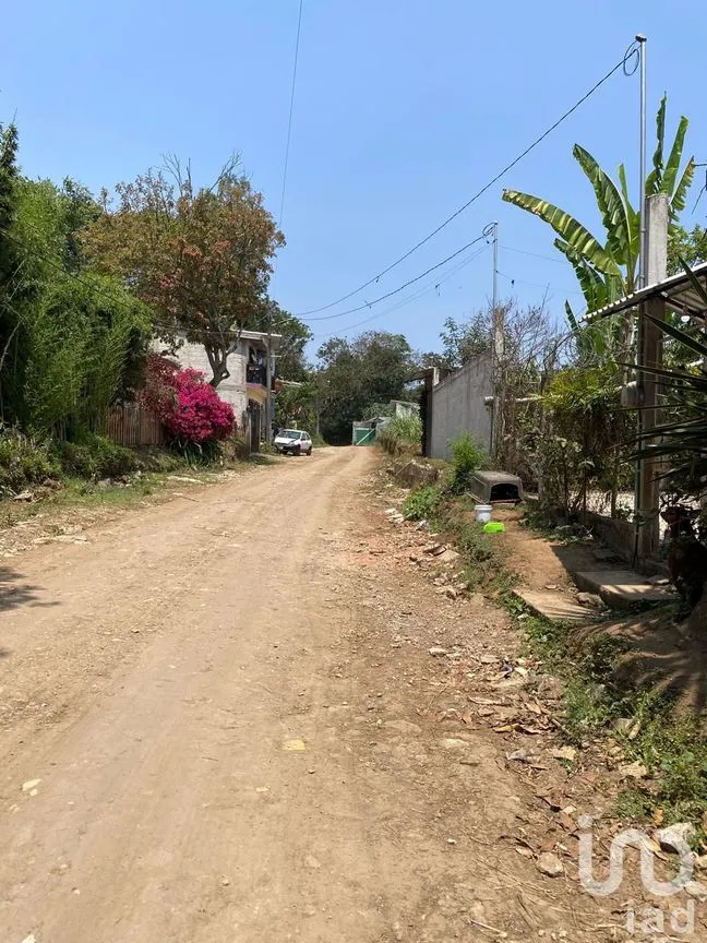 Terreno en Venta en Campo Viejo, Coatepec, Veracruz de Ignacio de la Llave | NEX-253269 | iad México | Foto 9 de 10