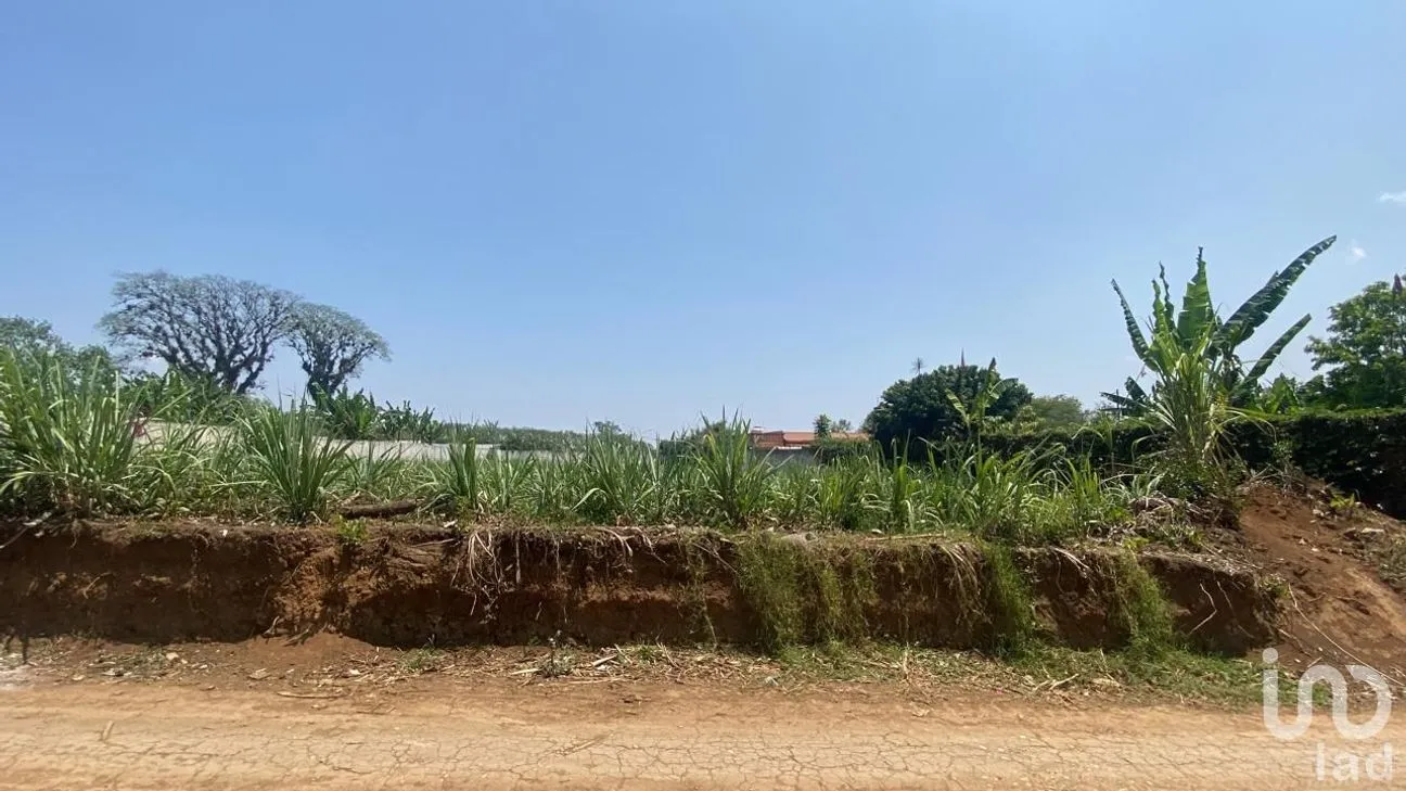 Terreno en Venta en Campo Viejo, Coatepec, Veracruz de Ignacio de la Llave | NEX-253269 | iad México | Foto 10 de 10