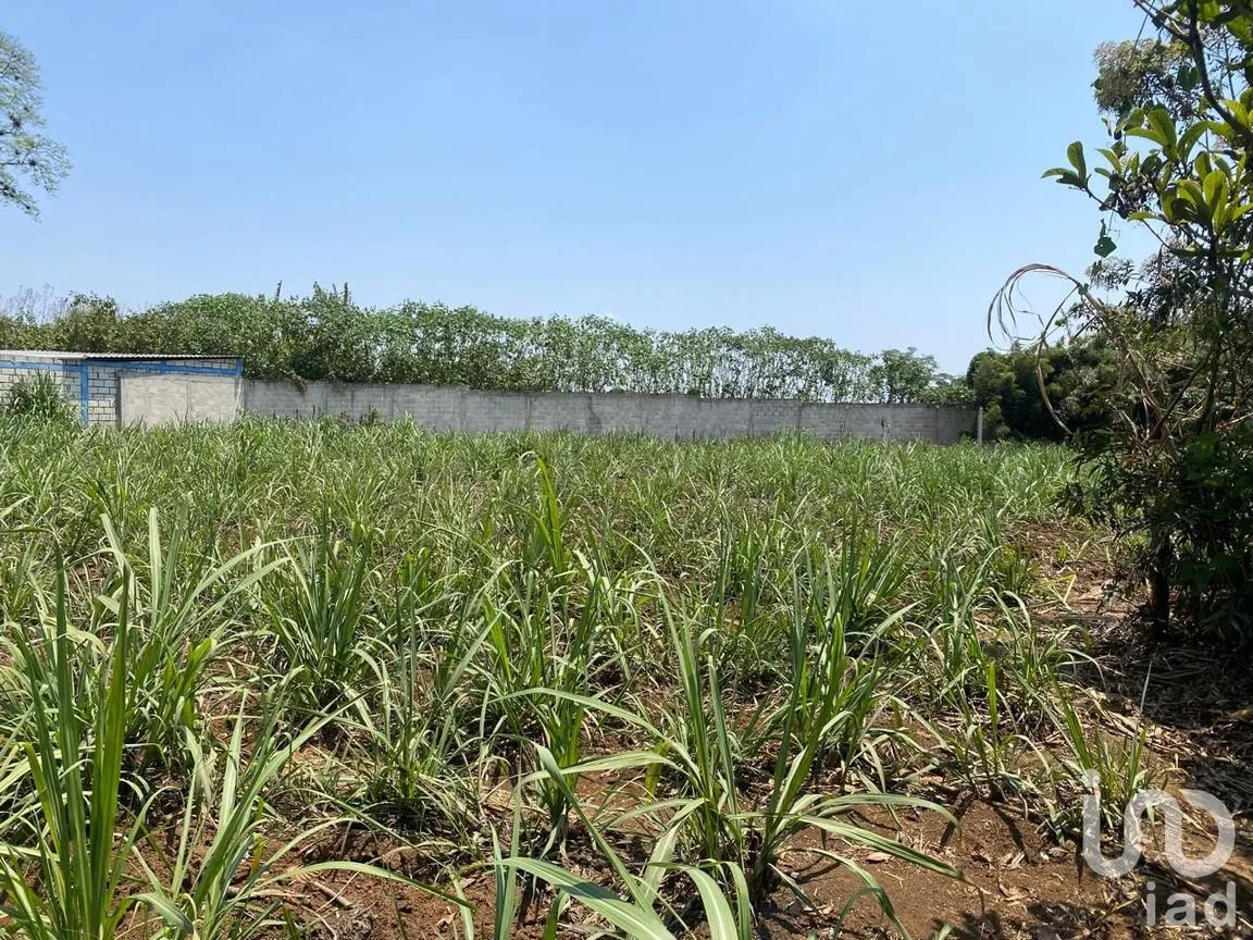 Terreno en Venta en Campo Viejo, Coatepec, Veracruz de Ignacio de la Llave | NEX-253269 | iad México | Foto 1 de 10