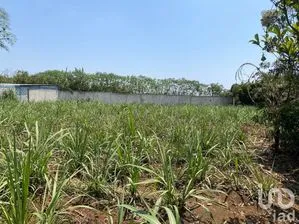 NEX-253269 - Terreno en Venta en Campo Viejo, CP 91540, Veracruz de Ignacio de la Llave.