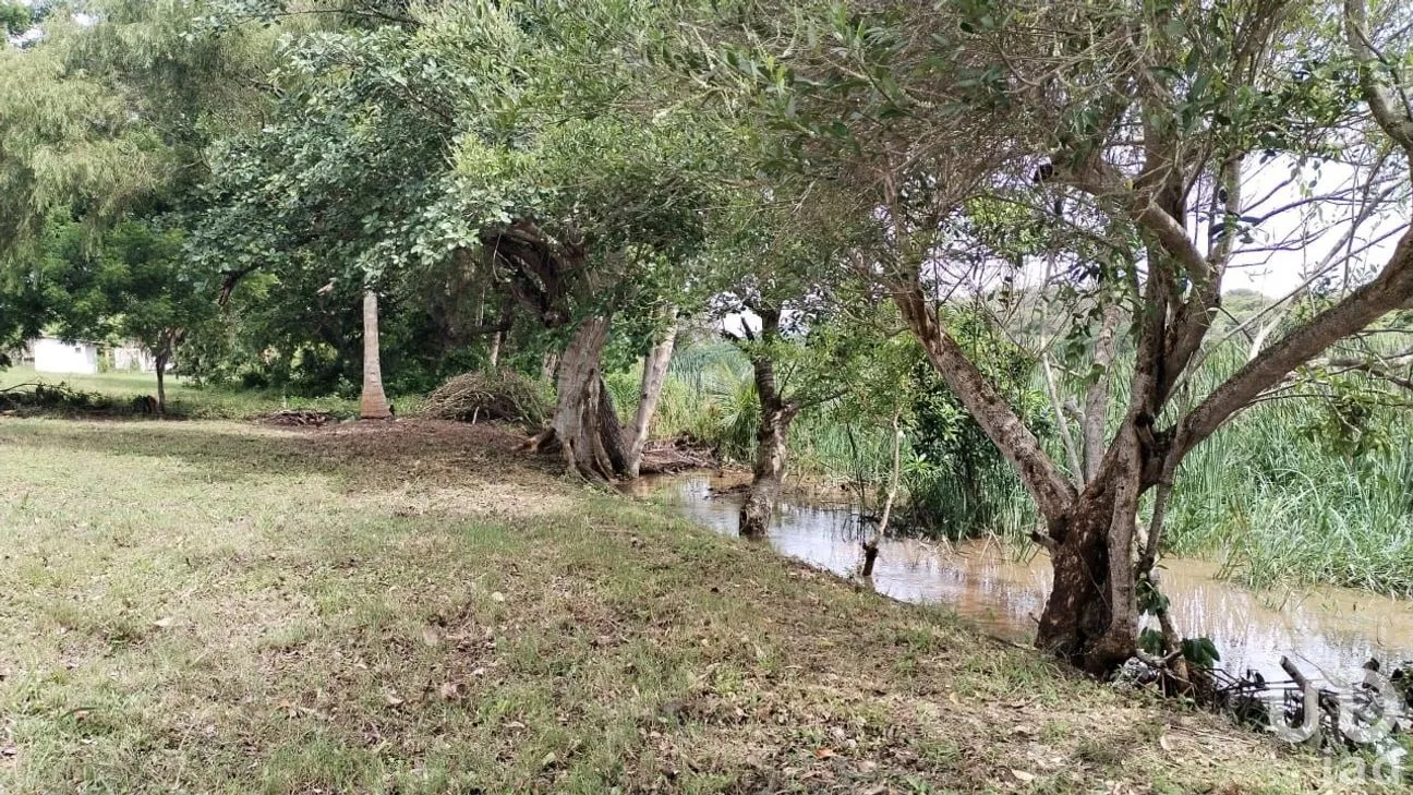 Terreno en Venta en Jose Ingenieros, La Antigua, Veracruz de Ignacio de la Llave | NEX-256367 | iad México | Foto 2 de 10