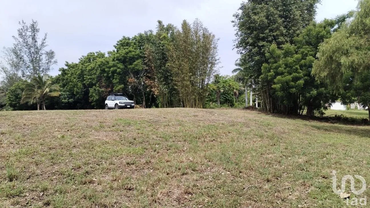 Terreno en Venta en Jose Ingenieros, La Antigua, Veracruz de Ignacio de la Llave | NEX-256367 | iad México | Foto 3 de 10