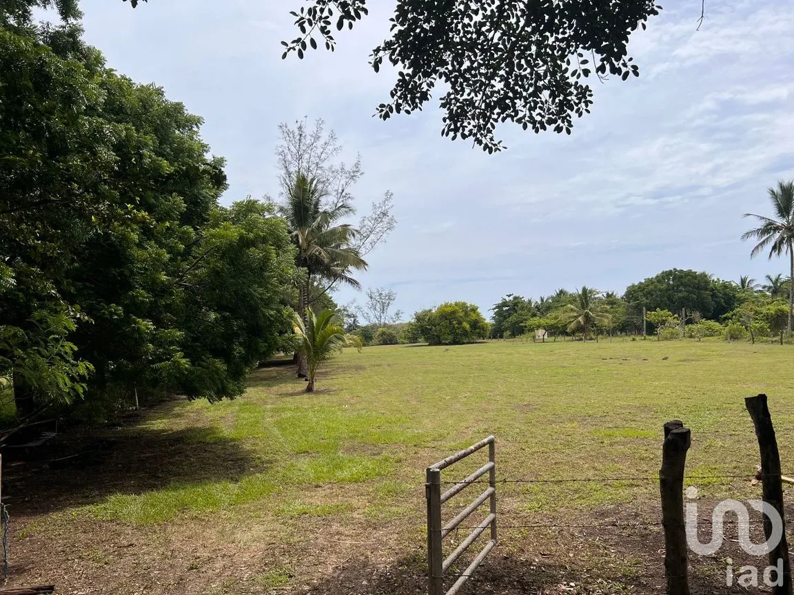Terreno en Venta en Jose Ingenieros, La Antigua, Veracruz de Ignacio de la Llave | NEX-256367 | iad México | Foto 5 de 10