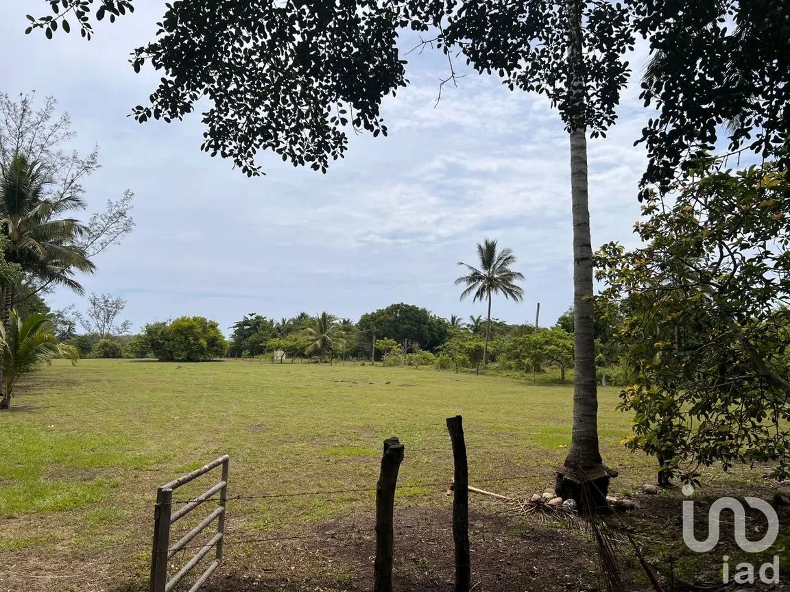 Terreno en Venta en Jose Ingenieros, La Antigua, Veracruz de Ignacio de la Llave | NEX-256367 | iad México | Foto 7 de 10