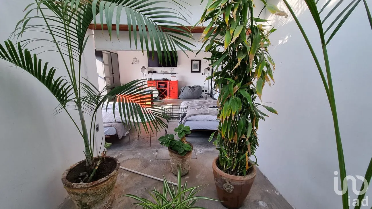 Casa en Venta en Alpuyeca, Xochitepec, Morelos | NEX-250578 | iad México | Foto 28 de 38