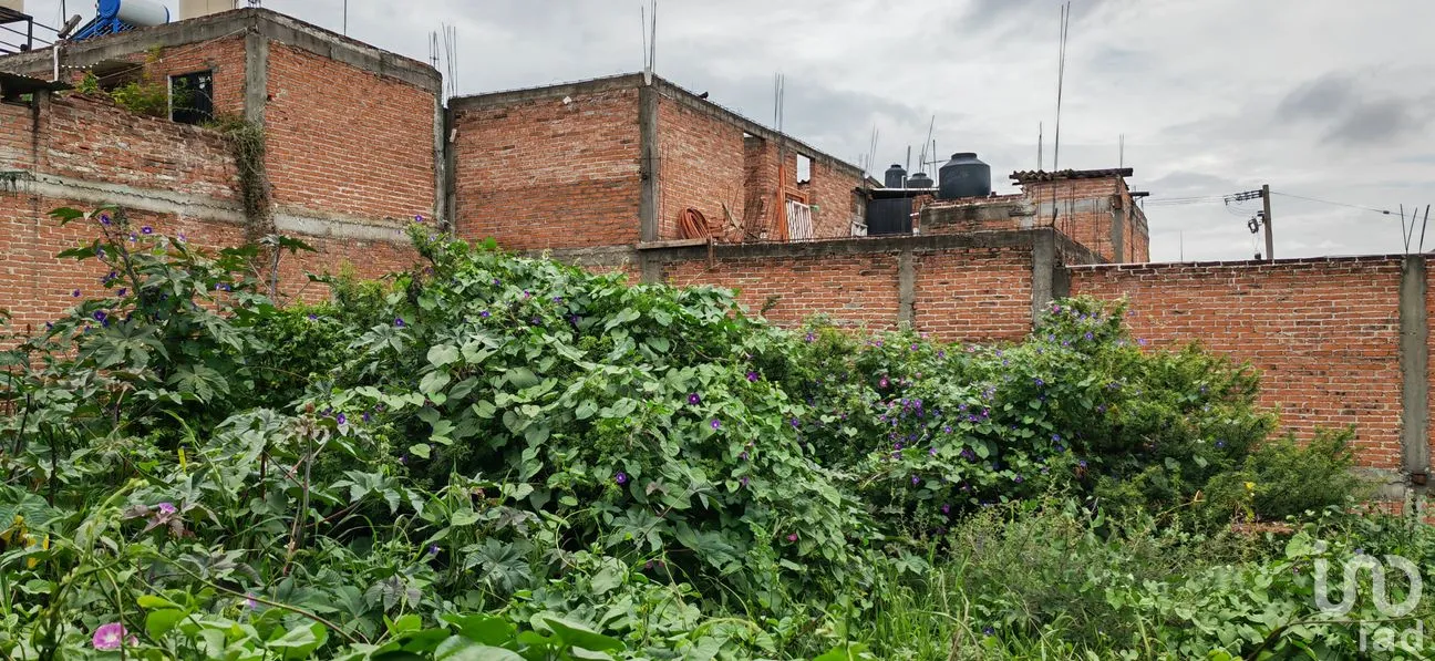 Terreno en Venta en Olimpo, San Miguel de Allende, Guanajuato | NEX-265334 | iad México | Foto 5 de 8