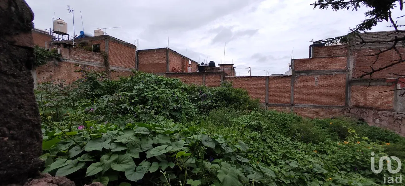 Terreno en Venta en Olimpo, San Miguel de Allende, Guanajuato | NEX-265334 | iad México | Foto 6 de 8
