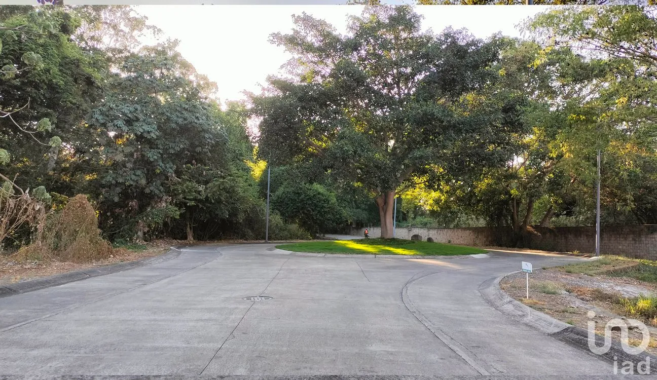 Terreno en Venta en Altozano, Cuauhtémoc, Colima | NEX-247589 | iad México | Foto 5 de 7
