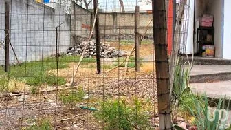 NEX-251956 - Terreno en Venta en Arboledas, CP 28077, Colima.
