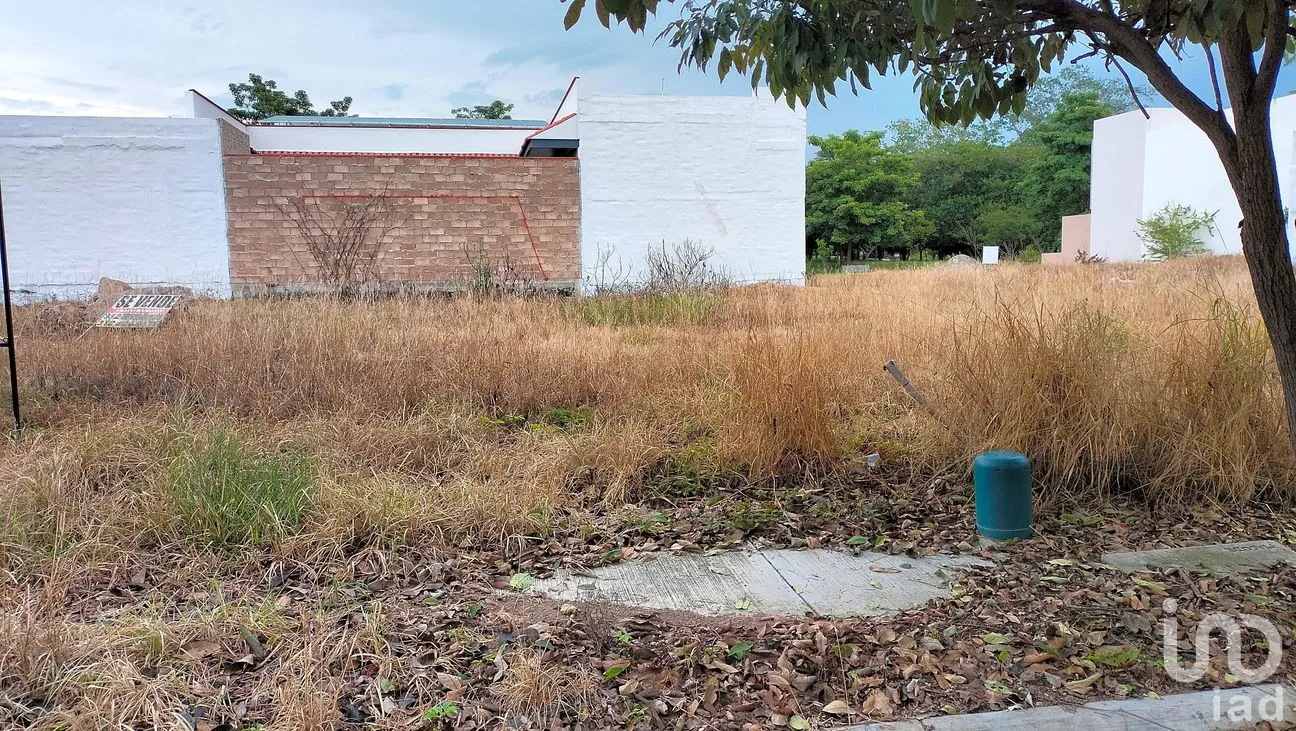 Terreno en Venta en Santa Gertrudis, Colima, Colima | NEX-259577 | iad México | Foto 2 de 9
