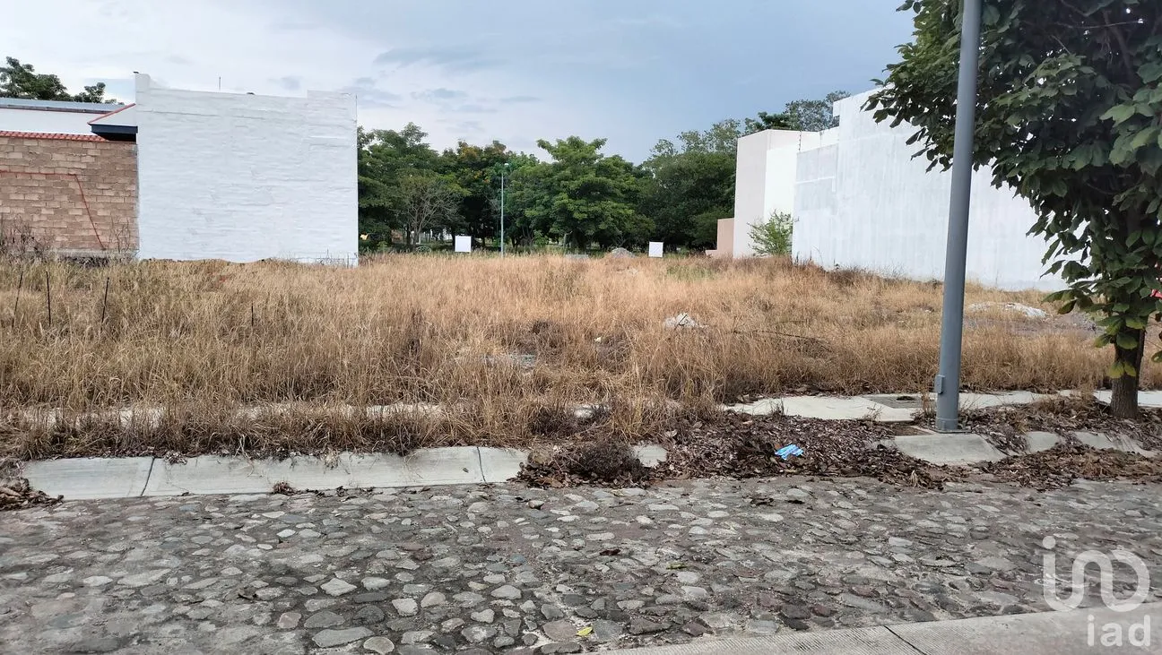Terreno en Venta en Santa Gertrudis, Colima, Colima | NEX-259577 | iad México | Foto 3 de 9