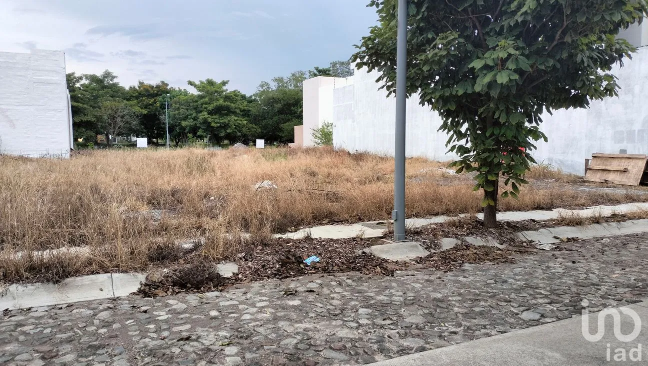 Terreno en Venta en Santa Gertrudis, Colima, Colima | NEX-259577 | iad México | Foto 4 de 9