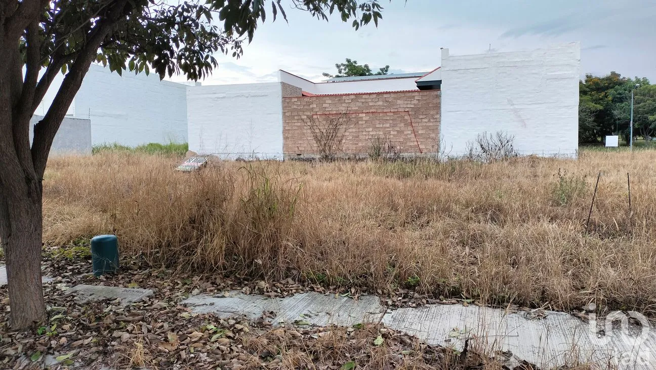 Terreno en Venta en Santa Gertrudis, Colima, Colima | NEX-259577 | iad México | Foto 6 de 9