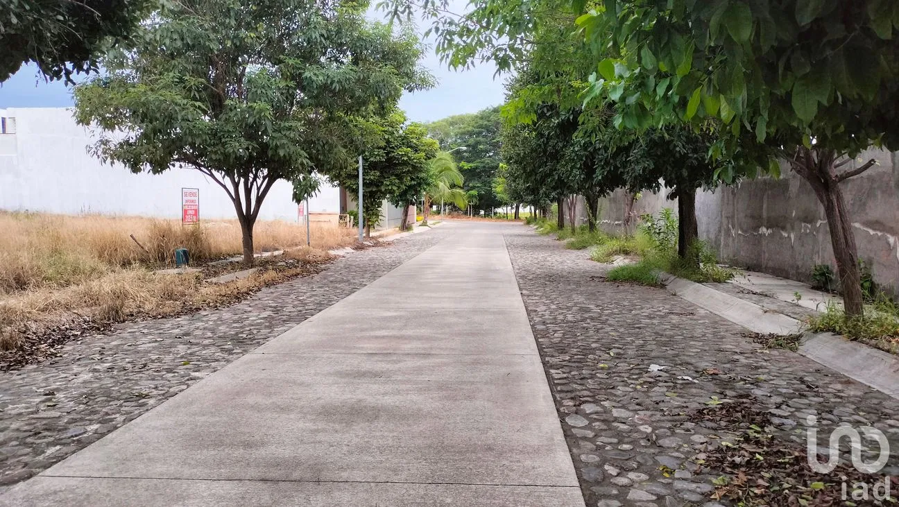 Terreno en Venta en Santa Gertrudis, Colima, Colima | NEX-259577 | iad México | Foto 7 de 9