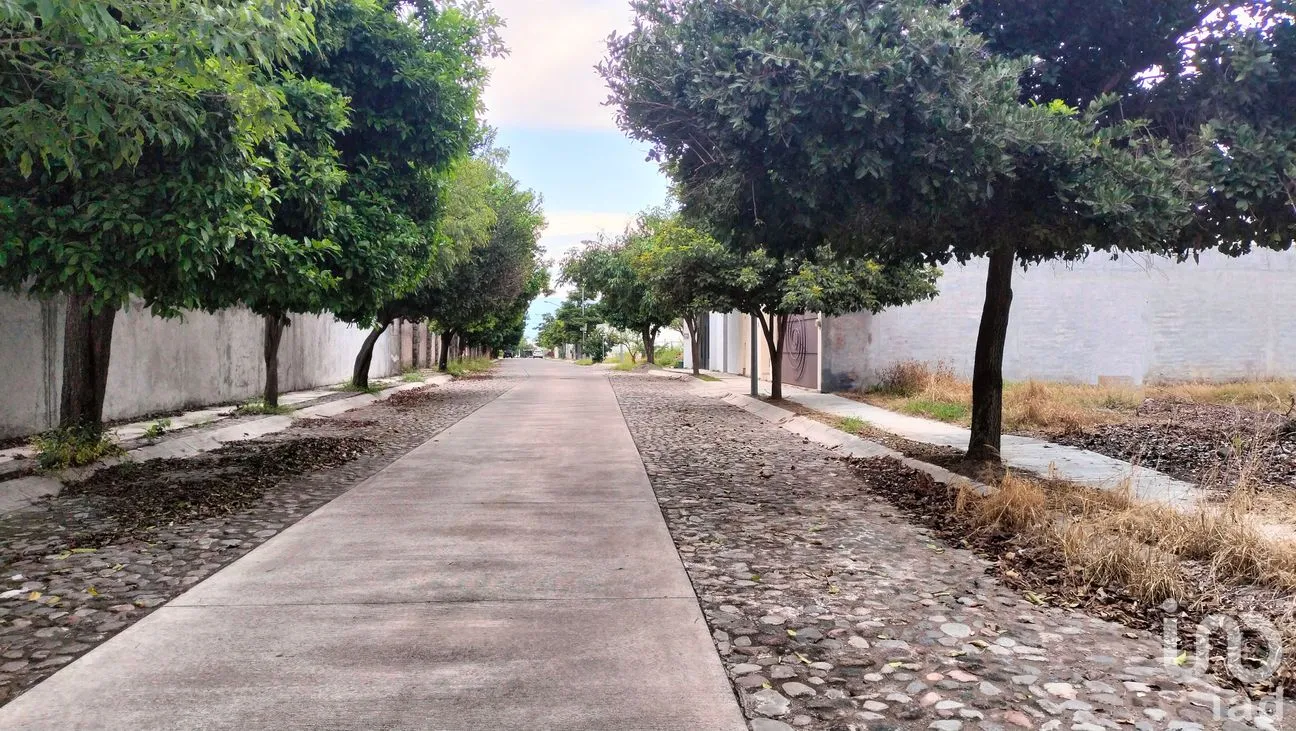 Terreno en Venta en Santa Gertrudis, Colima, Colima | NEX-259577 | iad México | Foto 8 de 9