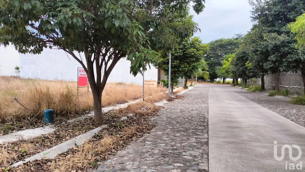 Terreno en Venta en Santa Gertrudis, Colima, Colima | NEX-259577 | iad México | Foto 9 de 9