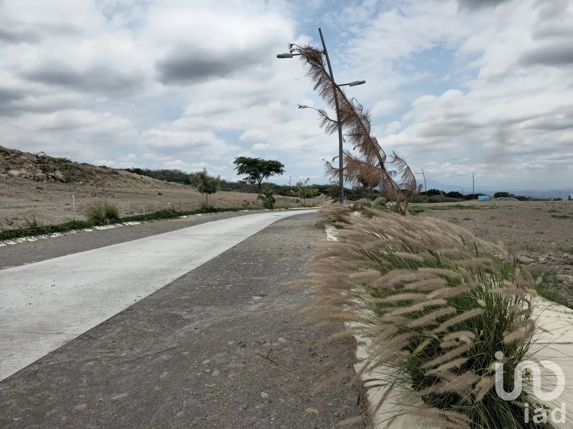 Terreno en Venta en Chiapa, Cuauhtémoc, Colima | NEX-262989 | iad México | Foto 2 de 10