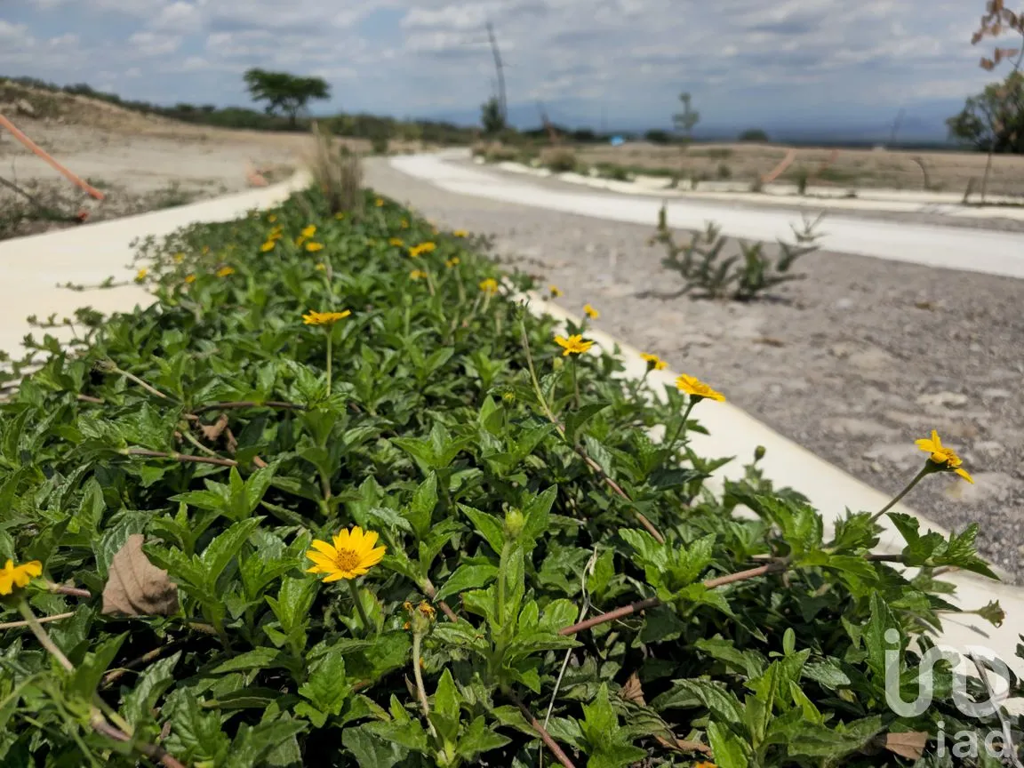 Terreno en Venta en Chiapa, Cuauhtémoc, Colima | NEX-262989 | iad México | Foto 1 de 10