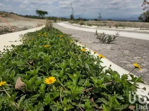 NEX-262989 - Terreno en Venta en Chiapa, CP 28530, Colima.