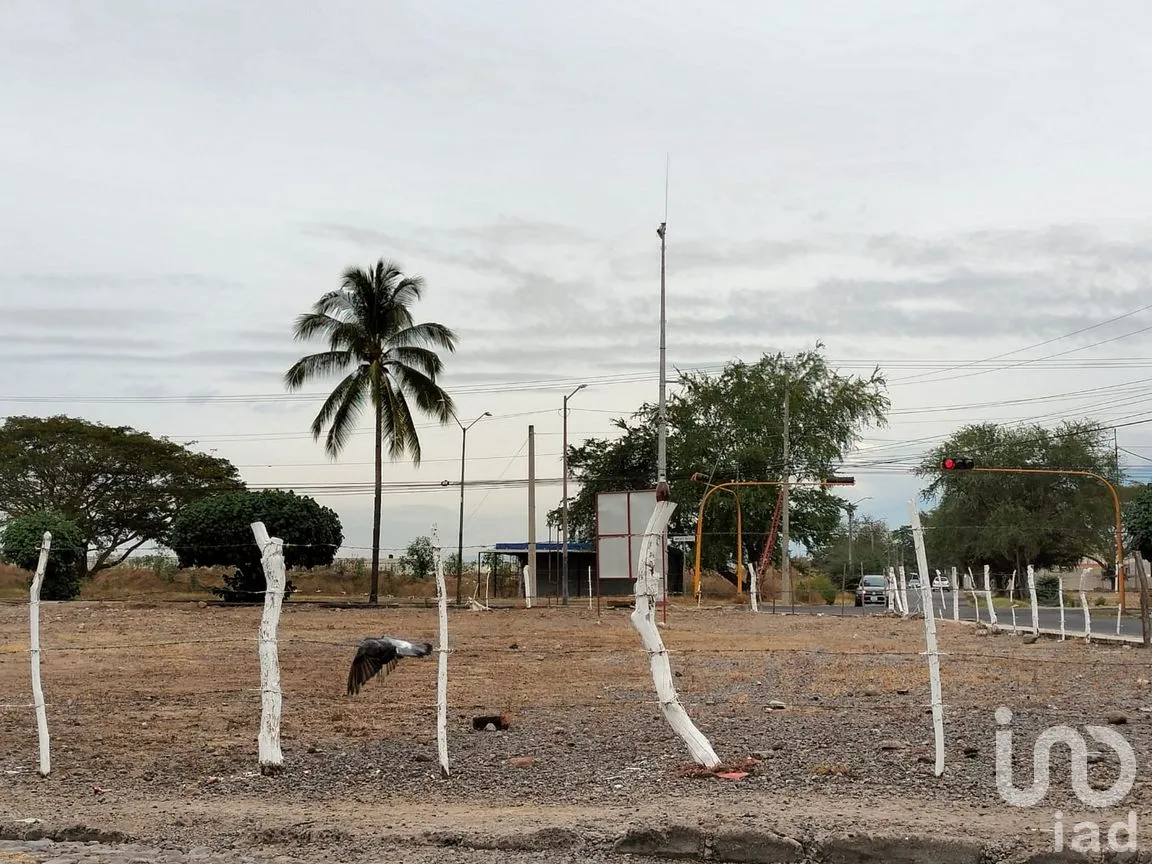 Terreno en Venta en Rinconada del Pereyra, Colima, Colima | NEX-285386 | iad México | Foto 3 de 6