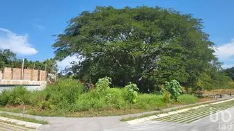 NEX-285388 - Terreno en Venta en El Chanal, CP 28610, Colima.