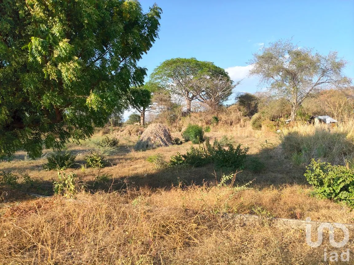 Terreno en Venta en Campestre Comala, Comala, Colima | NEX-294405 | iad México | Foto 2 de 7