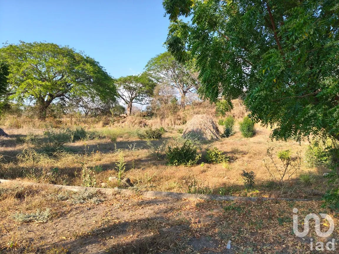 Terreno en Venta en Campestre Comala, Comala, Colima | NEX-294405 | iad México | Foto 3 de 7