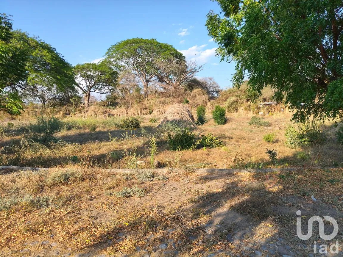 Terreno en Venta en Campestre Comala, Comala, Colima | NEX-294405 | iad México | Foto 4 de 7