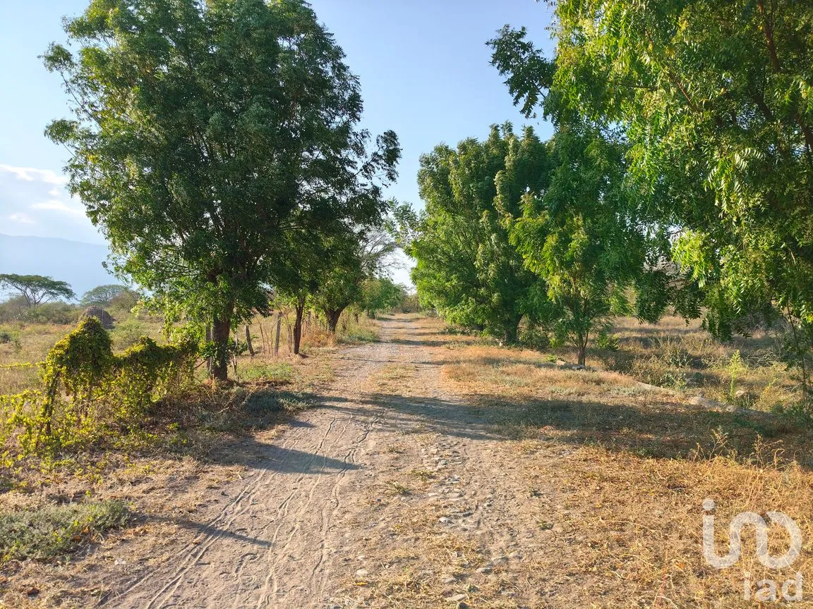 Terreno en Venta en Campestre Comala, Comala, Colima | NEX-294405 | iad México | Foto 6 de 7