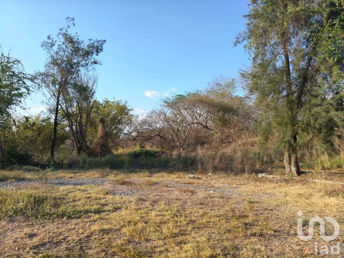 Terreno en Venta en Campestre Comala, Comala, Colima | NEX-294429 | iad México | Foto 3 de 9