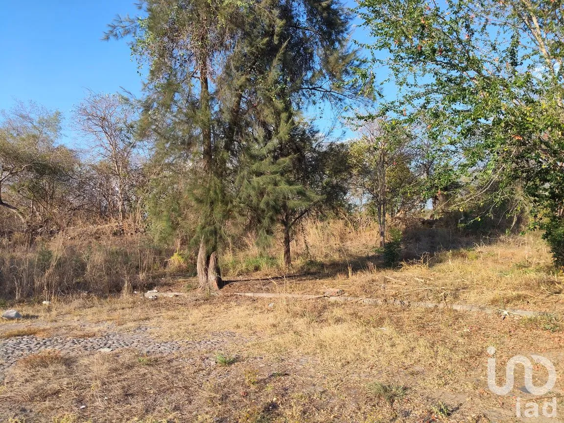 Terreno en Venta en Campestre Comala, Comala, Colima | NEX-294429 | iad México | Foto 4 de 9