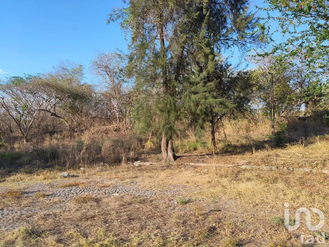 Terreno en Venta en Campestre Comala, Comala, Colima | NEX-294429 | iad México | Foto 5 de 9