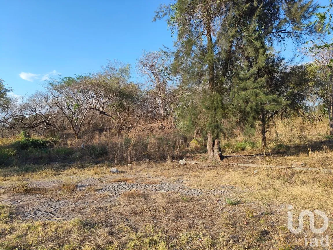 Terreno en Venta en Campestre Comala, Comala, Colima | NEX-294429 | iad México | Foto 6 de 9