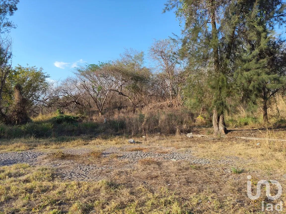 Terreno en Venta en Campestre Comala, Comala, Colima | NEX-294429 | iad México | Foto 7 de 9