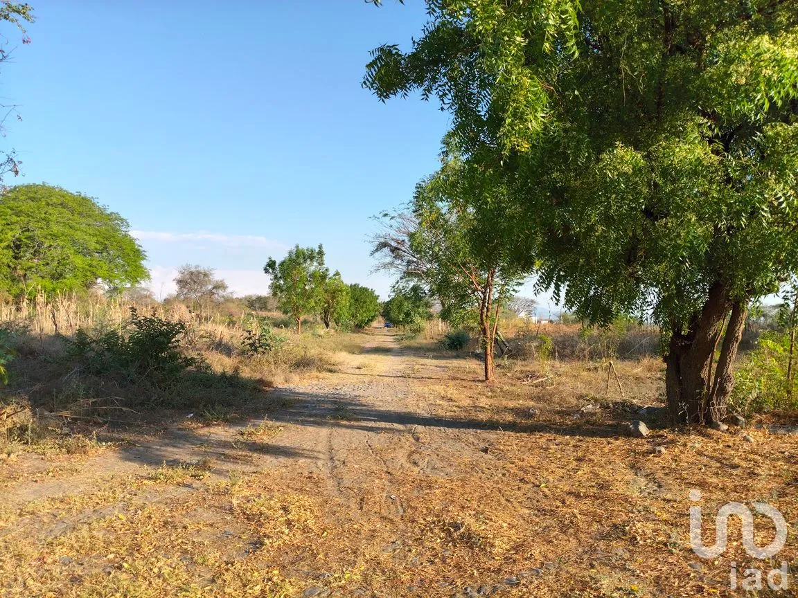 Terreno en Venta en Campestre Comala, Comala, Colima | NEX-294429 | iad México | Foto 8 de 9