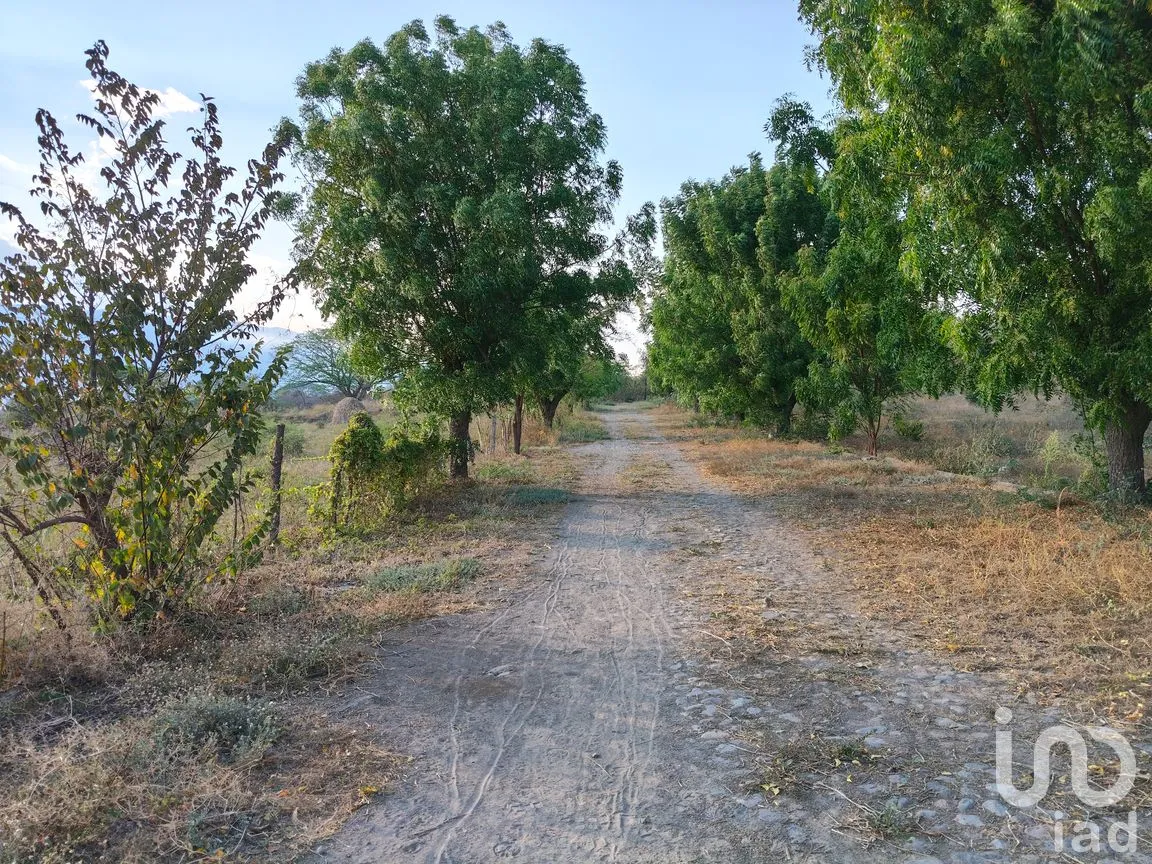 Terreno en Venta en Campestre Comala, Comala, Colima | NEX-294429 | iad México | Foto 9 de 9