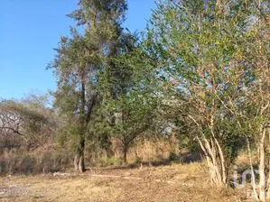 NEX-294429 - Terreno en Venta en Campestre Comala, CP 28450, Colima.
