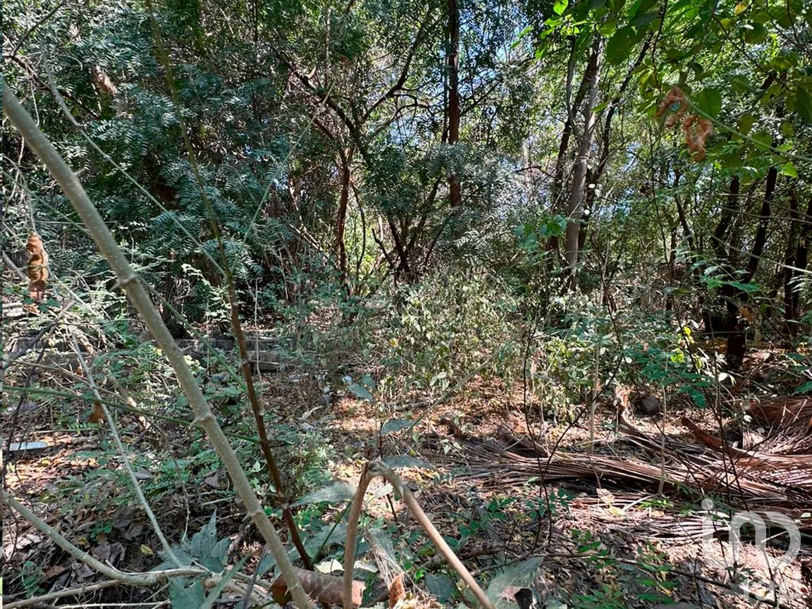 Terreno en Venta en Monte Orquídea, Manzanillo, Colima | NEX-296520 | iad México | Foto 2 de 7