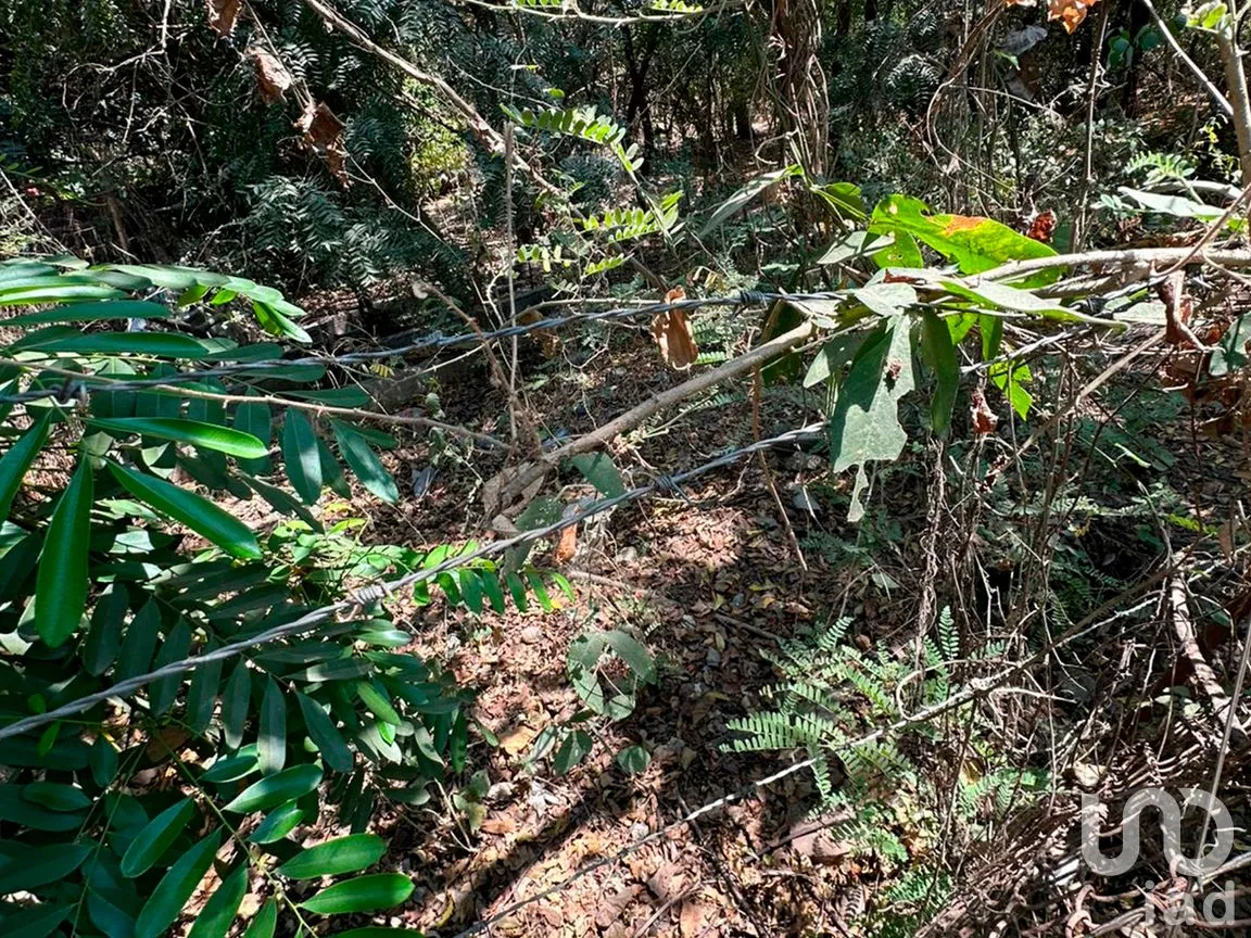 Terreno en Venta en Monte Orquídea, Manzanillo, Colima | NEX-296520 | iad México | Foto 3 de 7