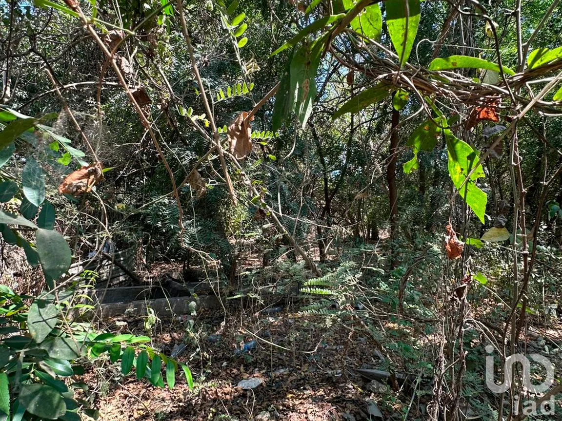 Terreno en Venta en Monte Orquídea, Manzanillo, Colima | NEX-296520 | iad México | Foto 4 de 7