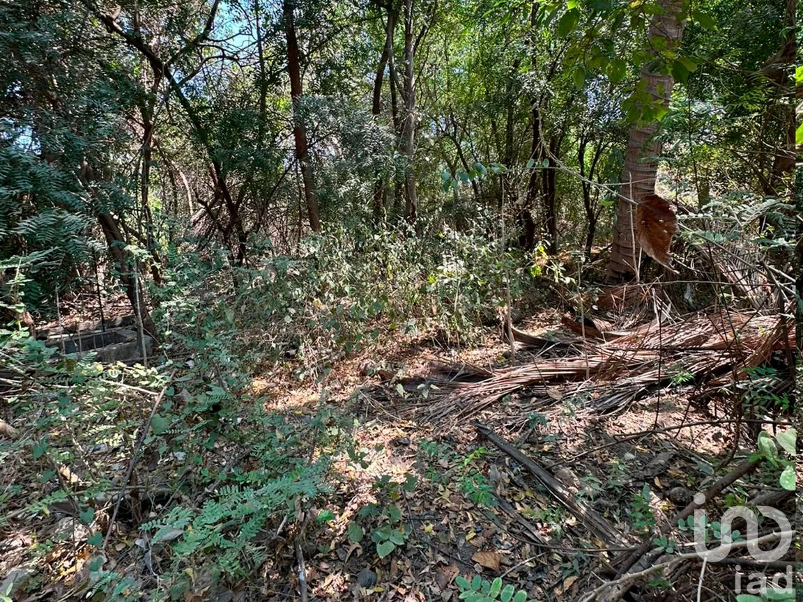 Terreno en Venta en Monte Orquídea, Manzanillo, Colima | NEX-296520 | iad México | Foto 5 de 7