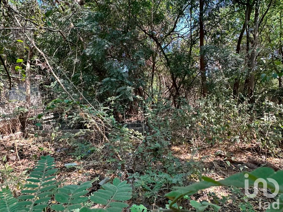 Terreno en Venta en Monte Orquídea, Manzanillo, Colima | NEX-296520 | iad México | Foto 6 de 7