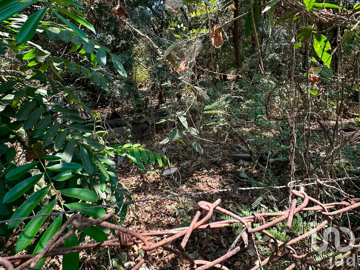 Terreno en Venta en Monte Orquídea, Manzanillo, Colima | NEX-296520 | iad México | Foto 7 de 7