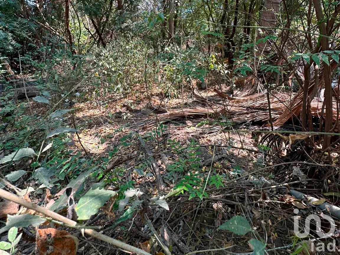 Terreno en Venta en Monte Orquídea, Manzanillo, Colima | NEX-296520 | iad México | Foto 1 de 7