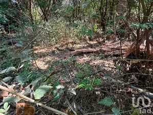 NEX-296520 - Terreno en Venta en Monte Orquídea, CP 28865, Colima.