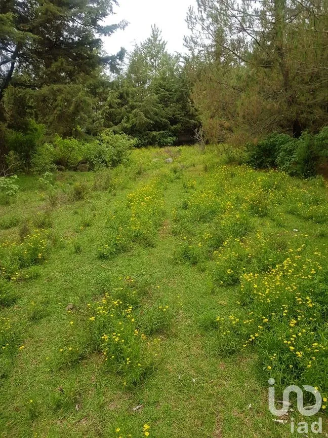 Terreno en Venta en Buenavista, Jilotepec, México | NEX-294261 | iad México | Foto 2 de 11