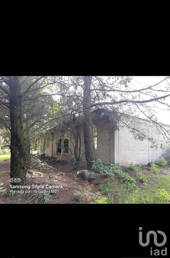 Terreno en Venta en Buenavista, Jilotepec, México | NEX-294261 | iad México | Foto 5 de 11