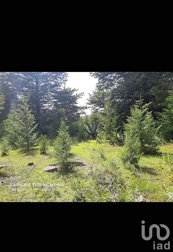Terreno en Venta en Buenavista, Jilotepec, México | NEX-294261 | iad México | Foto 6 de 11